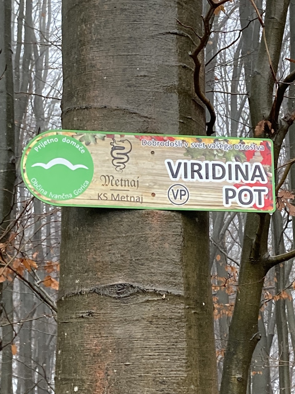 Viridin pohod